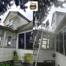 Mold mildew algae removal (2)